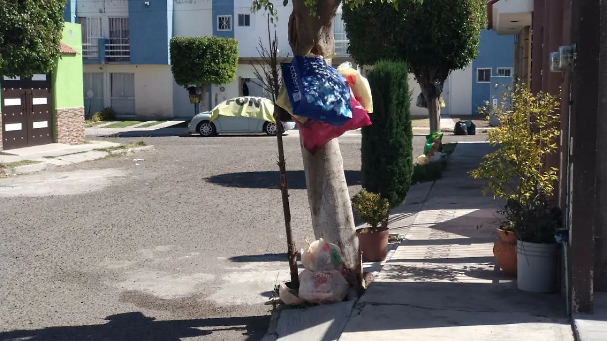 Grandes acumulaciones de basura se hacen por las diferentes calles de la colonia Praderas del Sol.